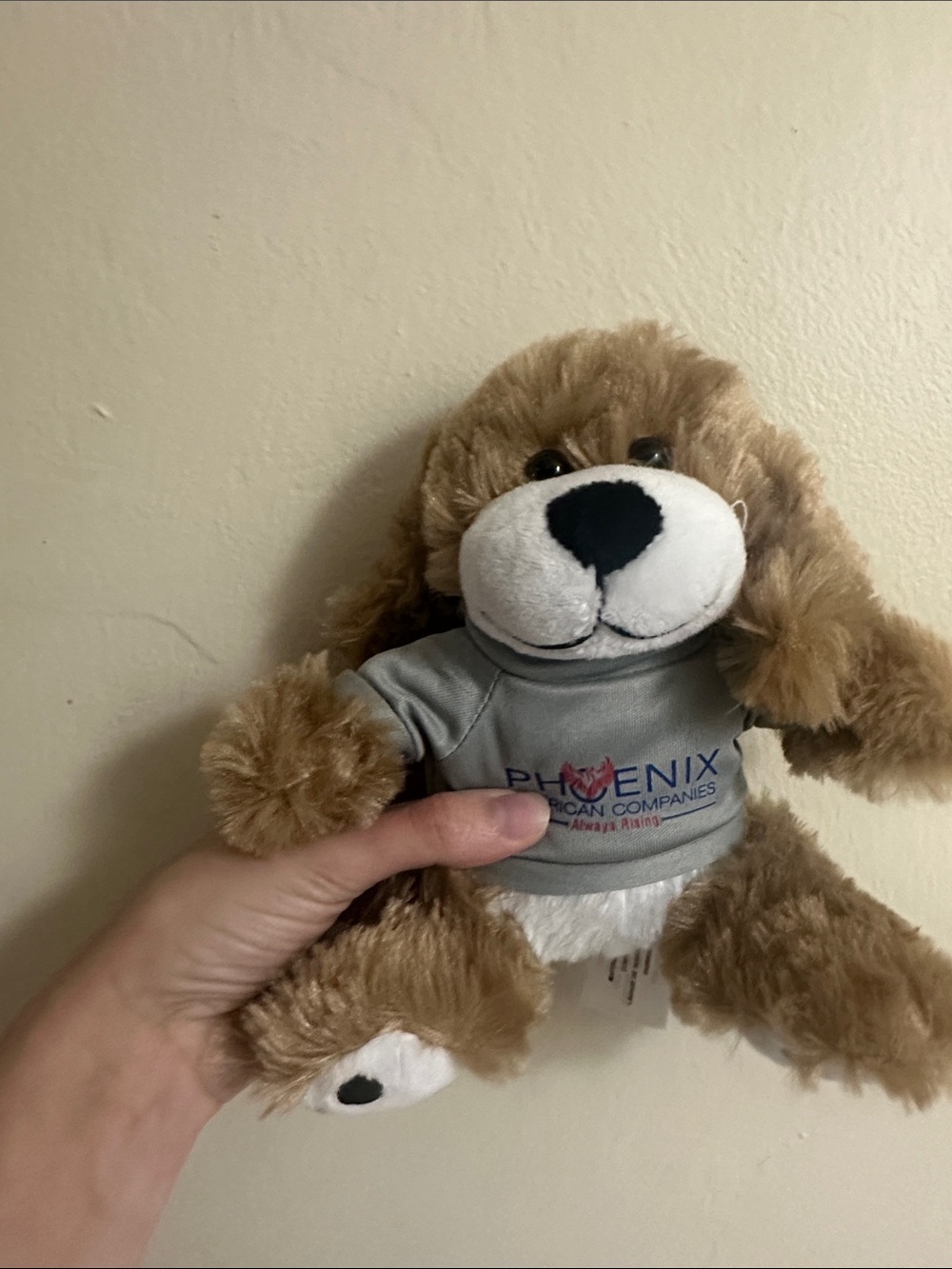 Phoenix-branded Plush Brown Dog with Gray Shirt - Home Accent